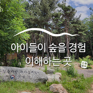 솔바람 유아숲체험원 이미지