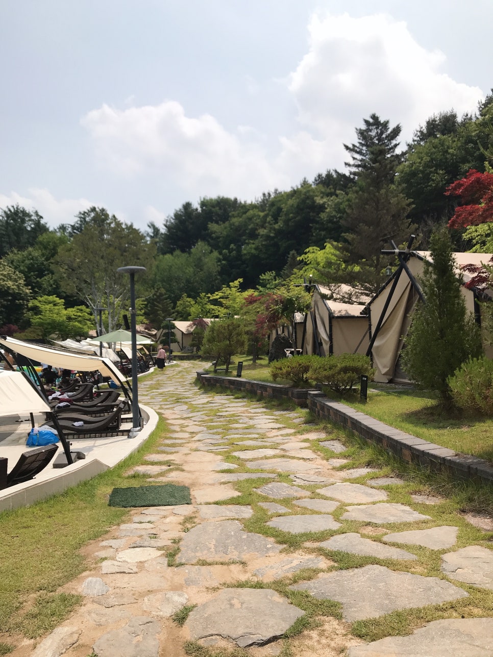 클럽노블픽 이미지