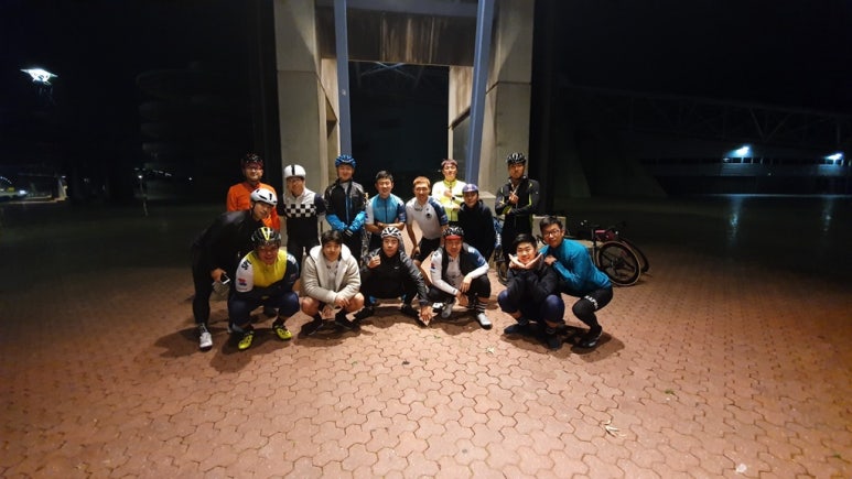 고지스 이미지