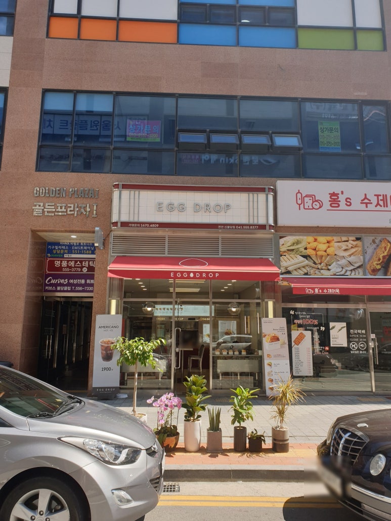 에그드랍신 이미지