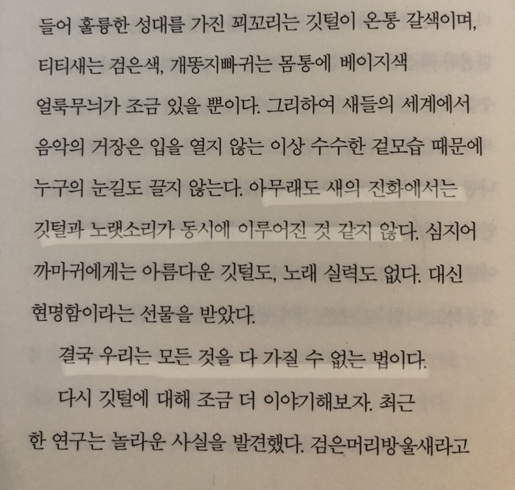 아름다운머리방 이미지