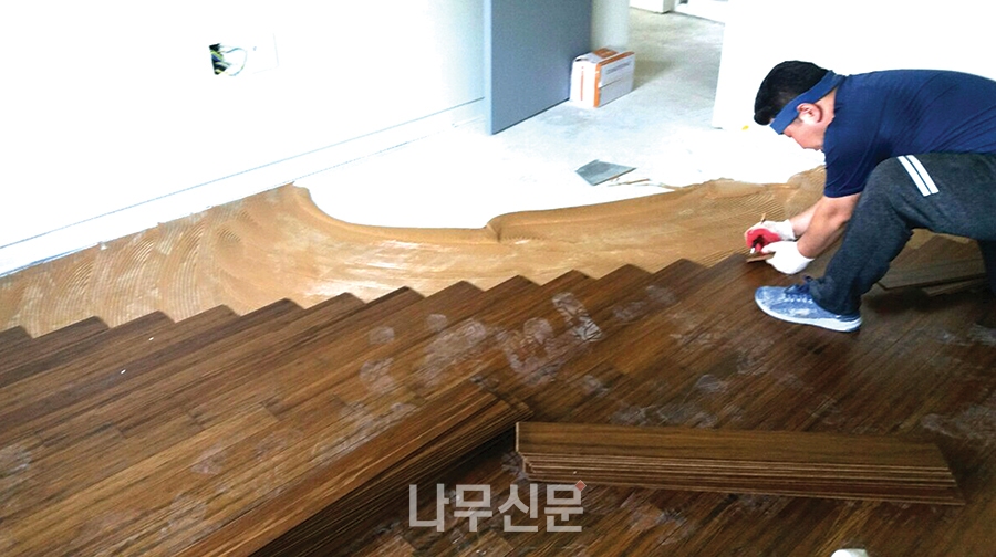 케이마루 이미지