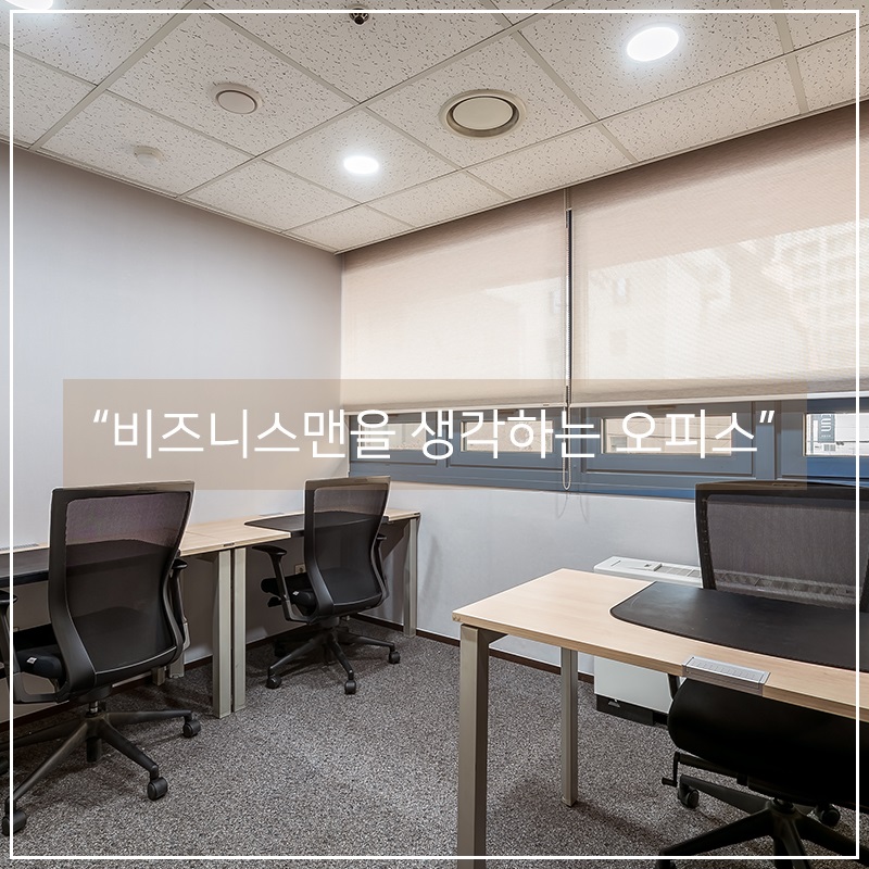 세무법인영진 이미지