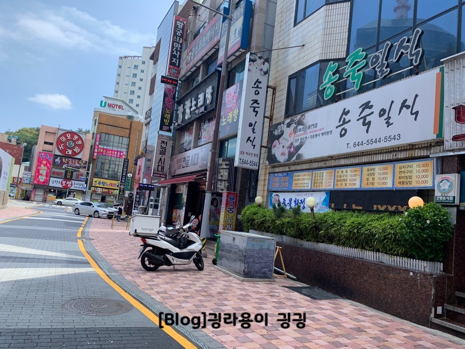 송죽일식 이미지