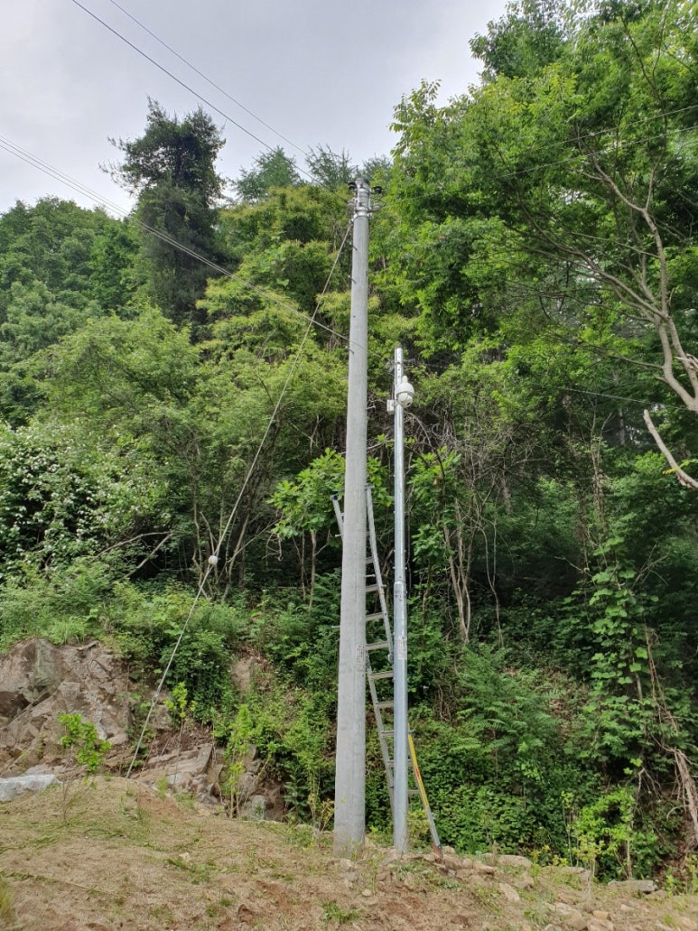 JNJ시큐리티 이미지