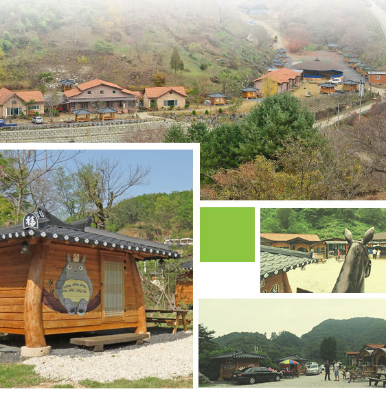 만인승마체험장 이미지