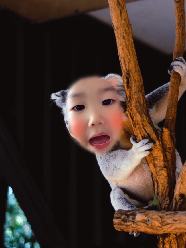 벨르마카롱 이미지