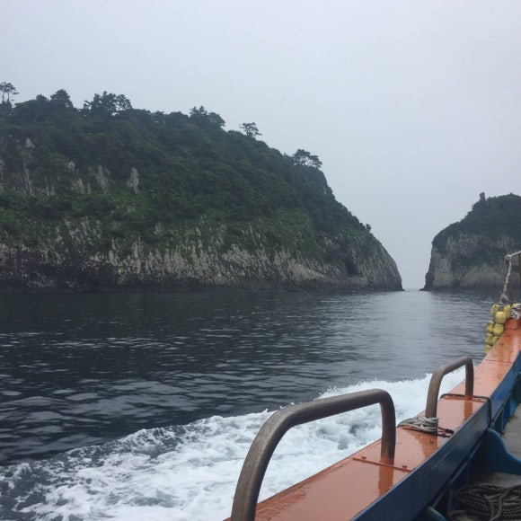 해조호 이미지