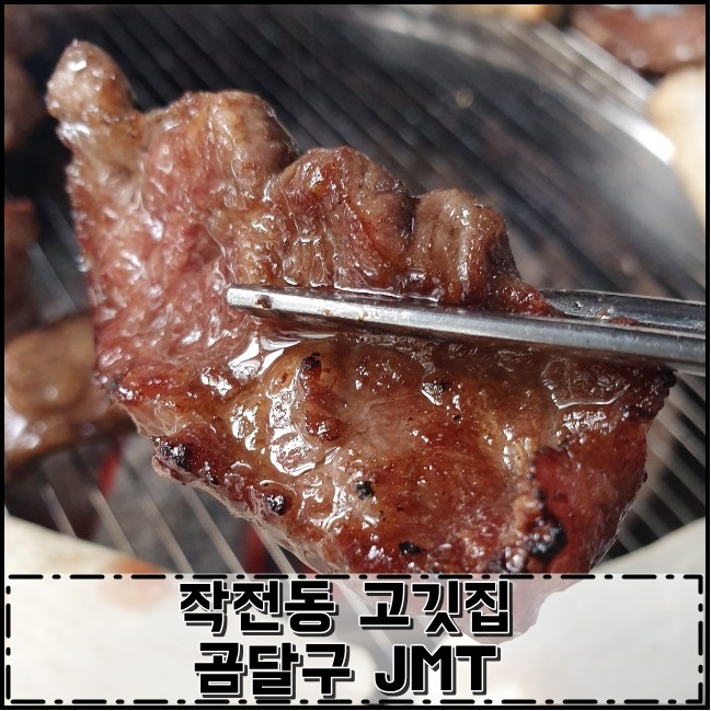 곰달구 이미지
