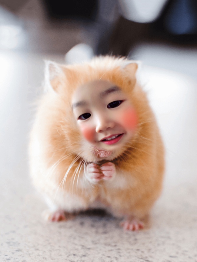 벨르마카롱 이미지
