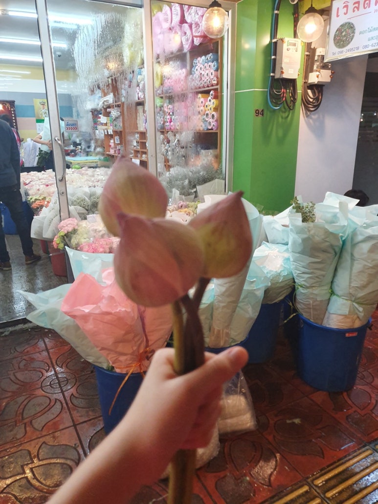 위너푸드 이미지
