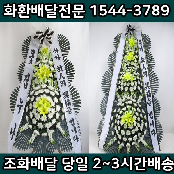 강동경희대학교병원장례식장근조화환꽃집 이미지