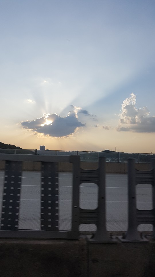 풍문양꼬치 이미지