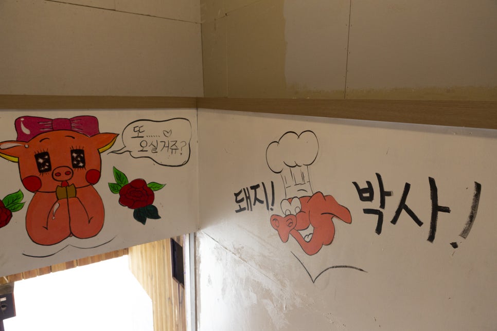 돼지박사 이미지