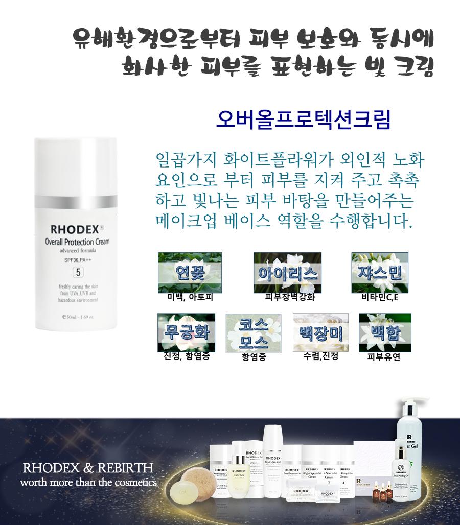 로덱스 이미지