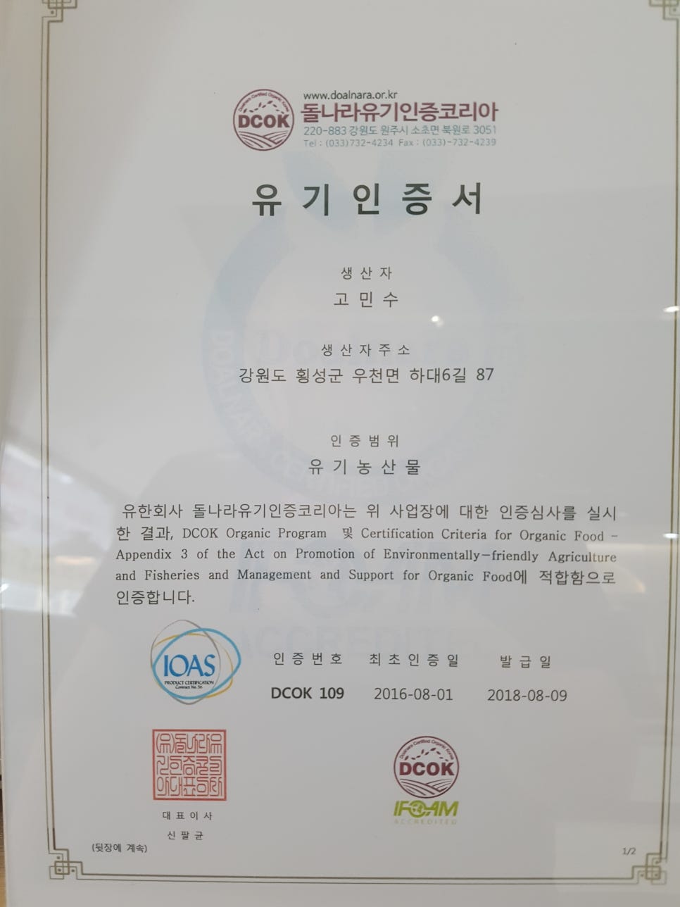 윙고 이미지