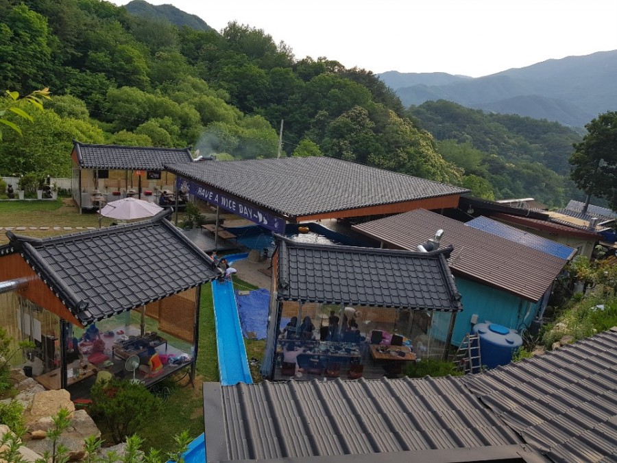 합천 저팔계 참숯불구이 이미지