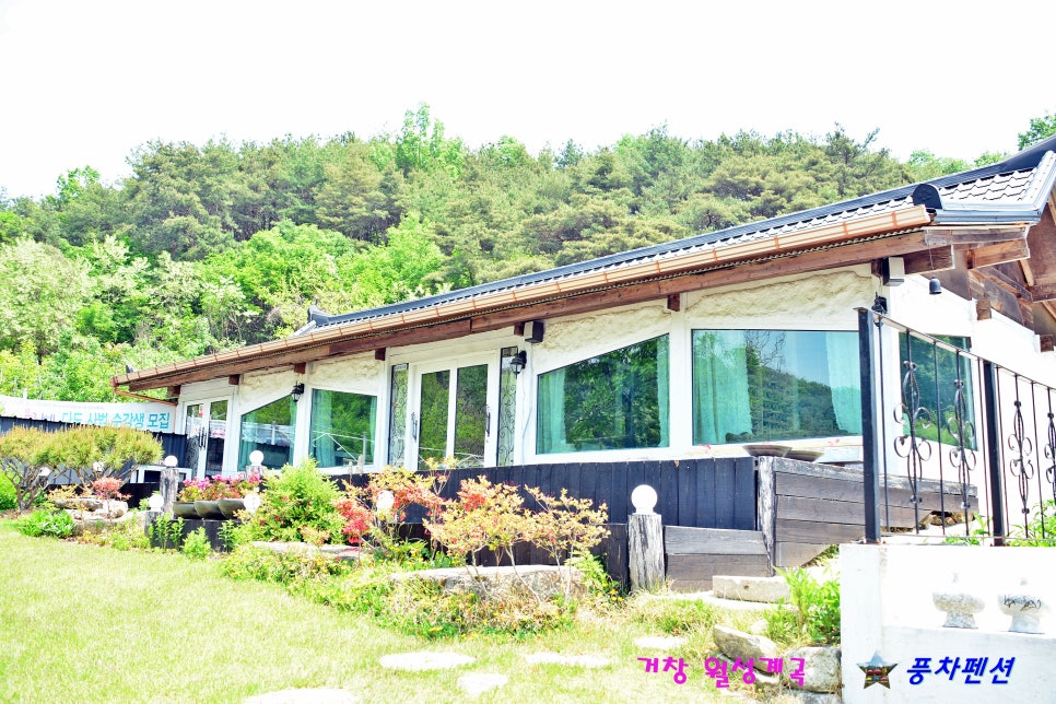 사단법인 한국다도협회 이미지