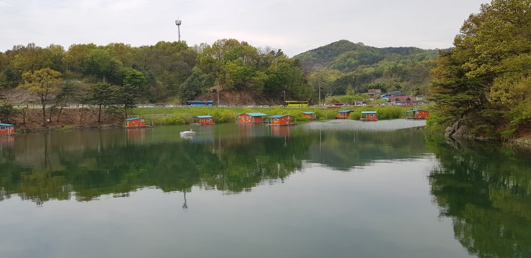 상록행정사 이미지