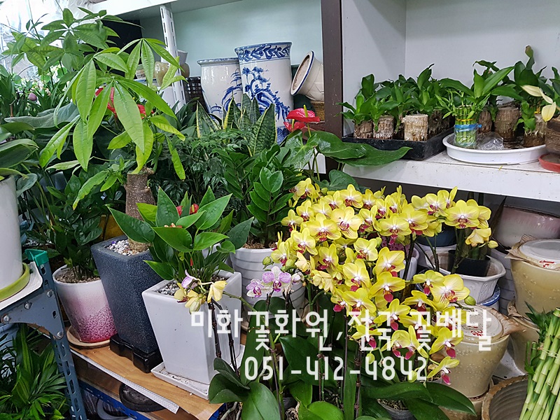 미화화원 이미지