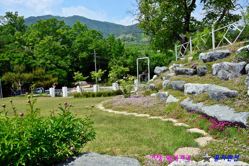 사단법인 한국다도협회 이미지
