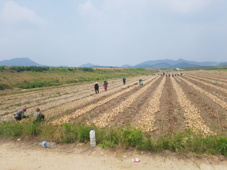 한우리영농조합법인 이미지