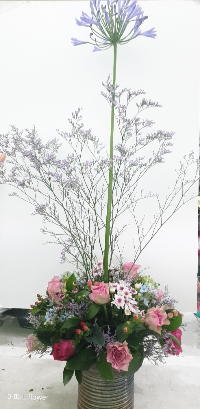 아띠-Lflower 이미지