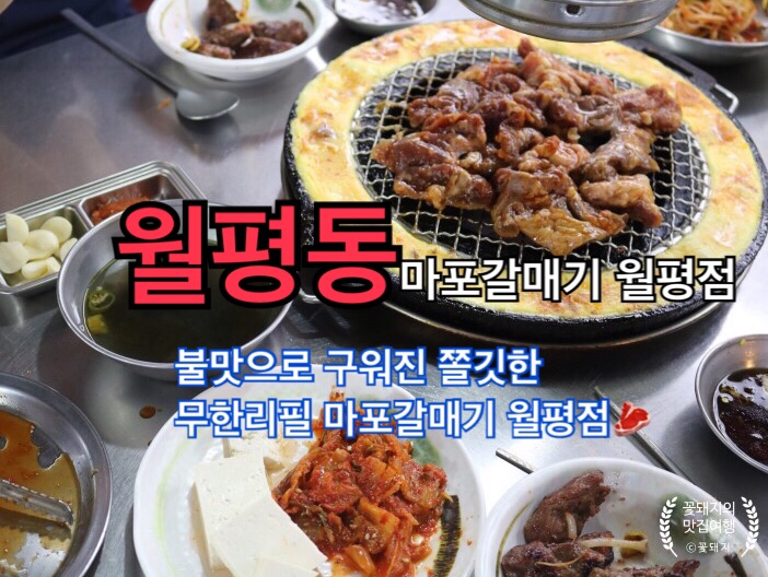꽃돼지갈매기 이미지