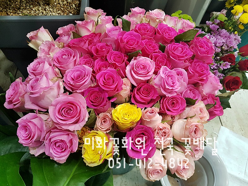 미화화원 이미지