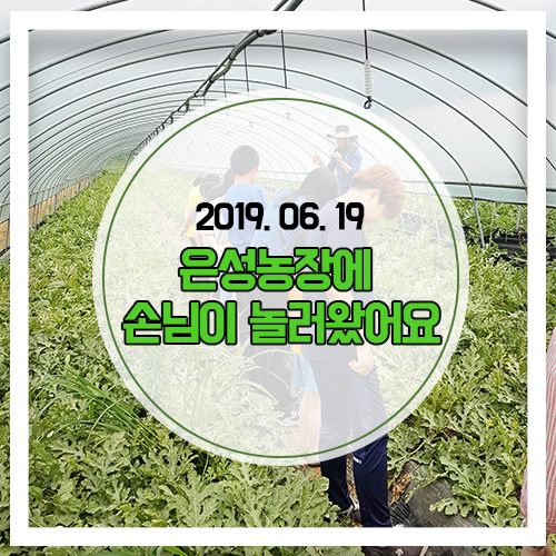 은성농산물 이미지