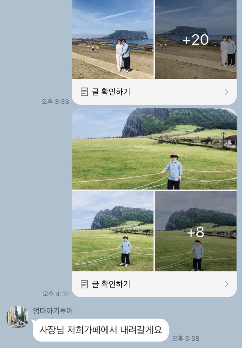 오키서키투어(Mario Travel Agency) 이미지
