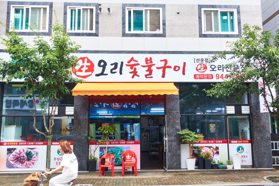수일생오리 이미지