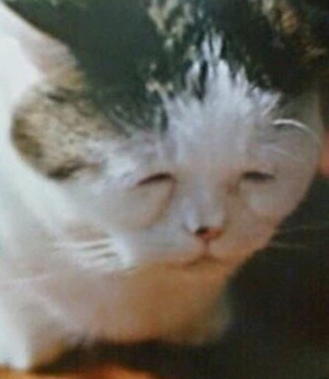 허니문라운지 이미지
