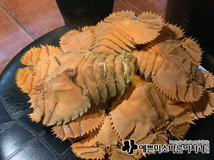 센텀치과의원 이미지