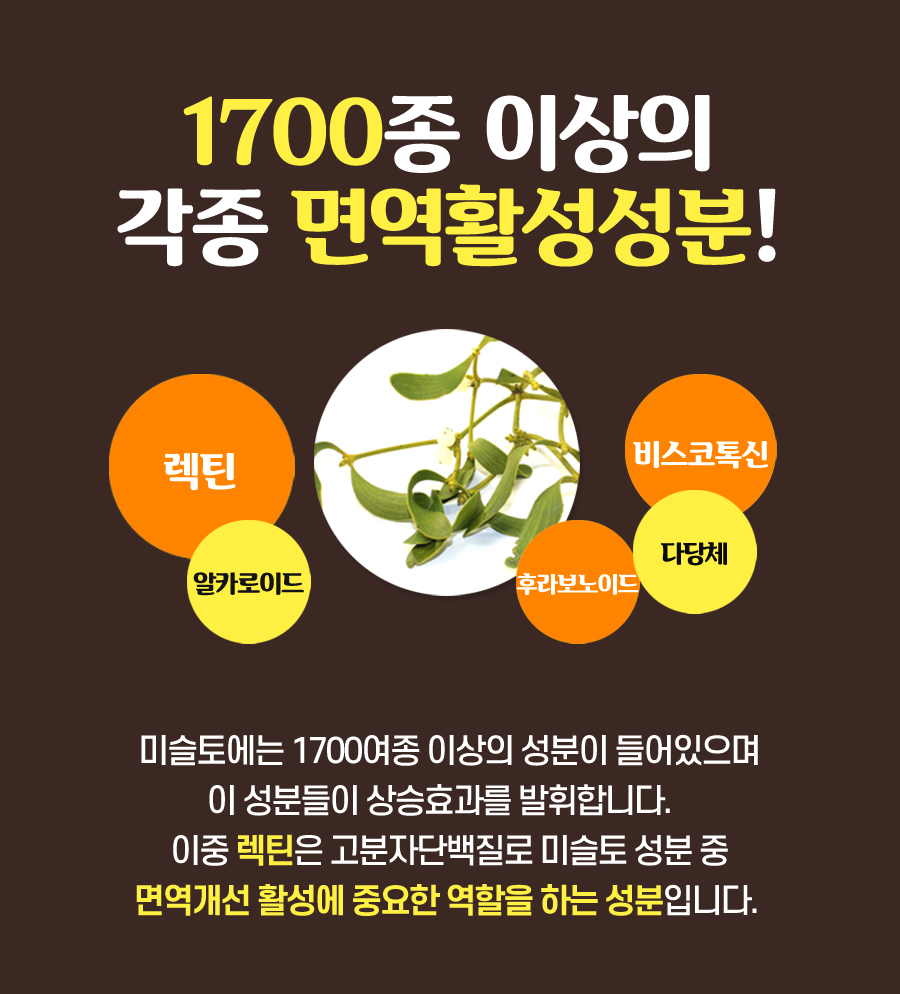 자라난 약초 이미지