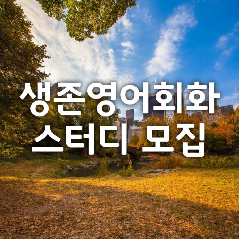 쓸만한 마켓 이미지