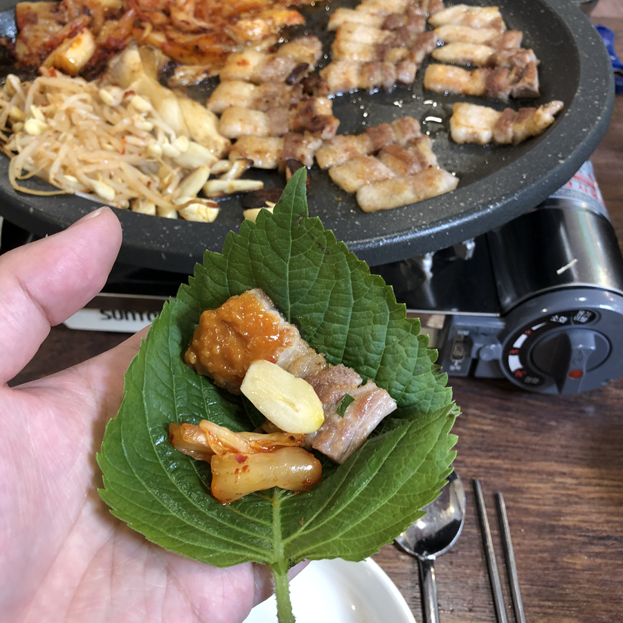 돼지박사 이미지