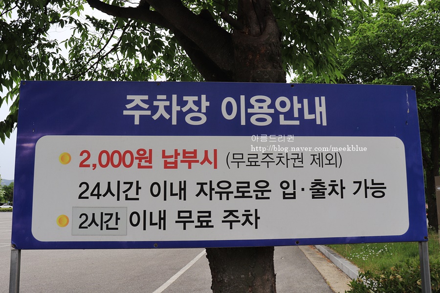 금은모래 캠핑장 이미지