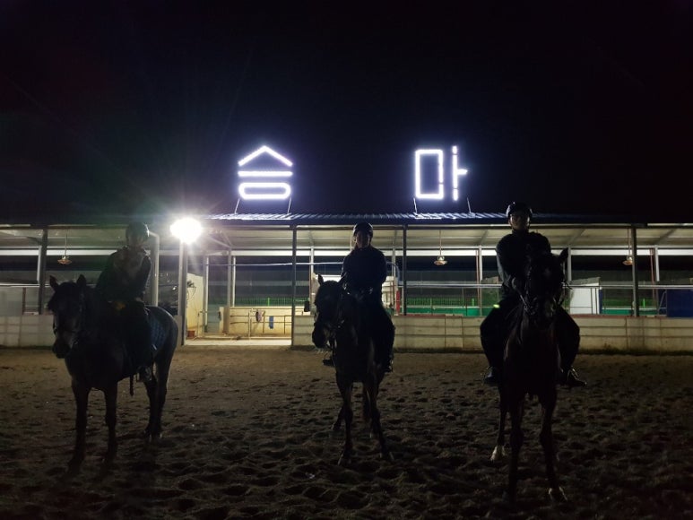 천지승마클럽 이미지