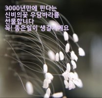 주택석유 이미지