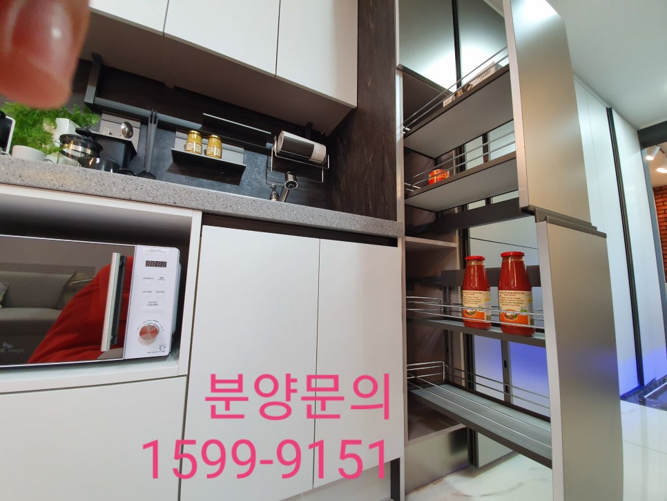 스테이유 이미지