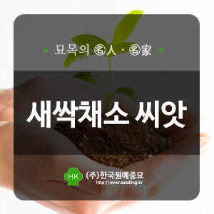 한국원예종묘 이미지