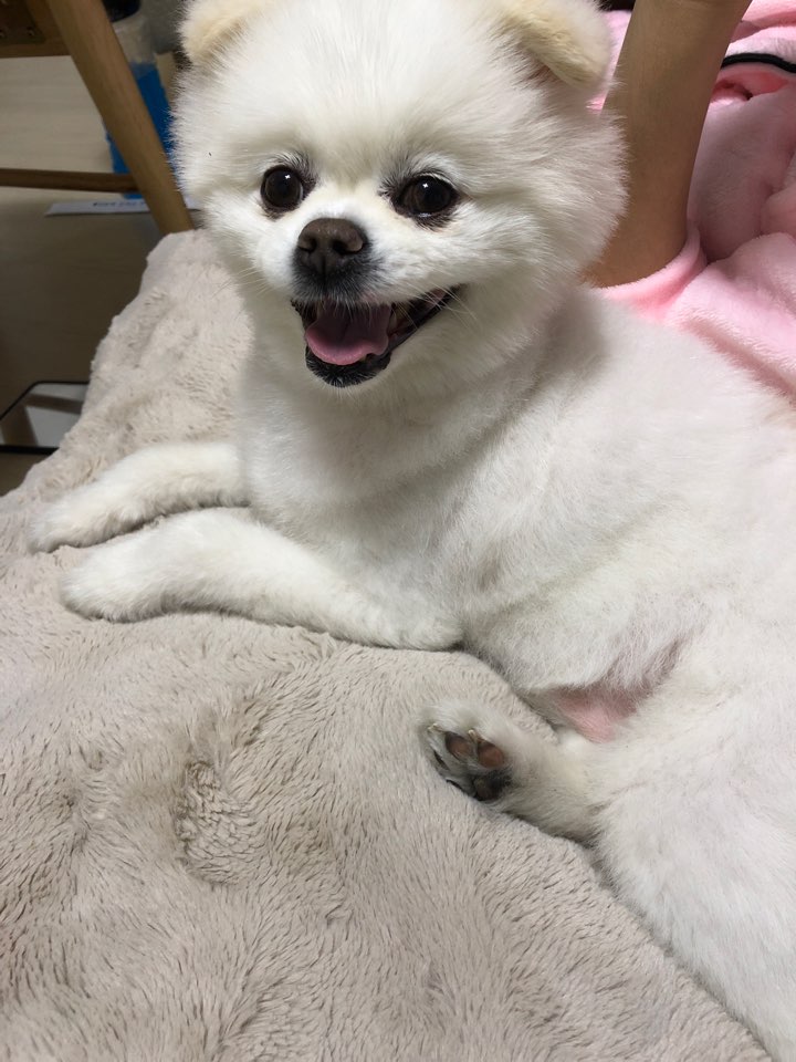 헤어시티 이미지