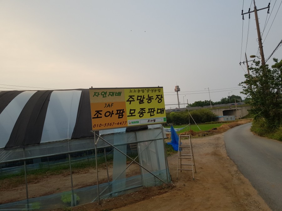 조아간판 이미지