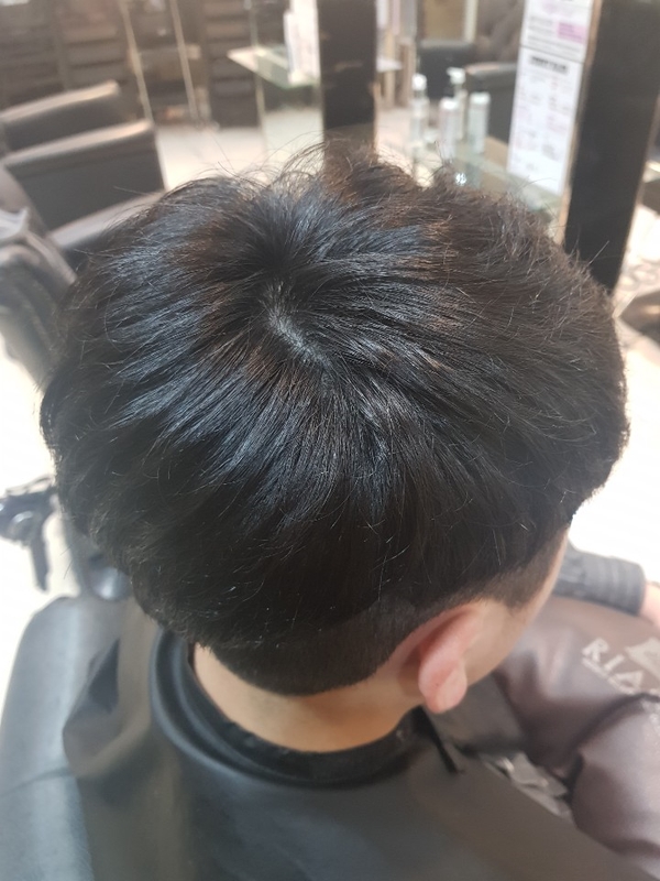 제니헤어 이미지