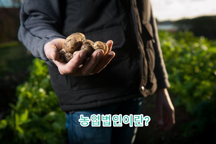 시티행정사사무소 이미지
