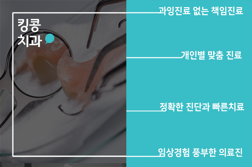 스티치킹콩 이미지