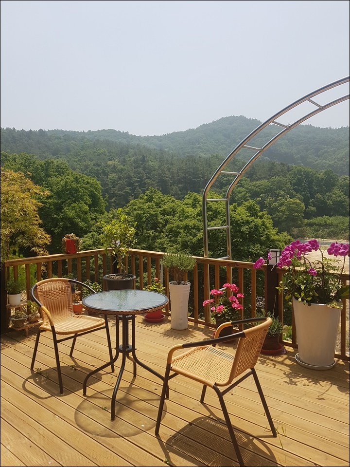 카페플루비아 이미지