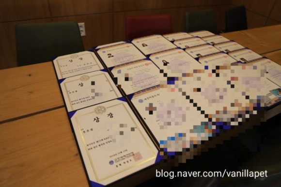 바닐라애견미용학원 이미지
