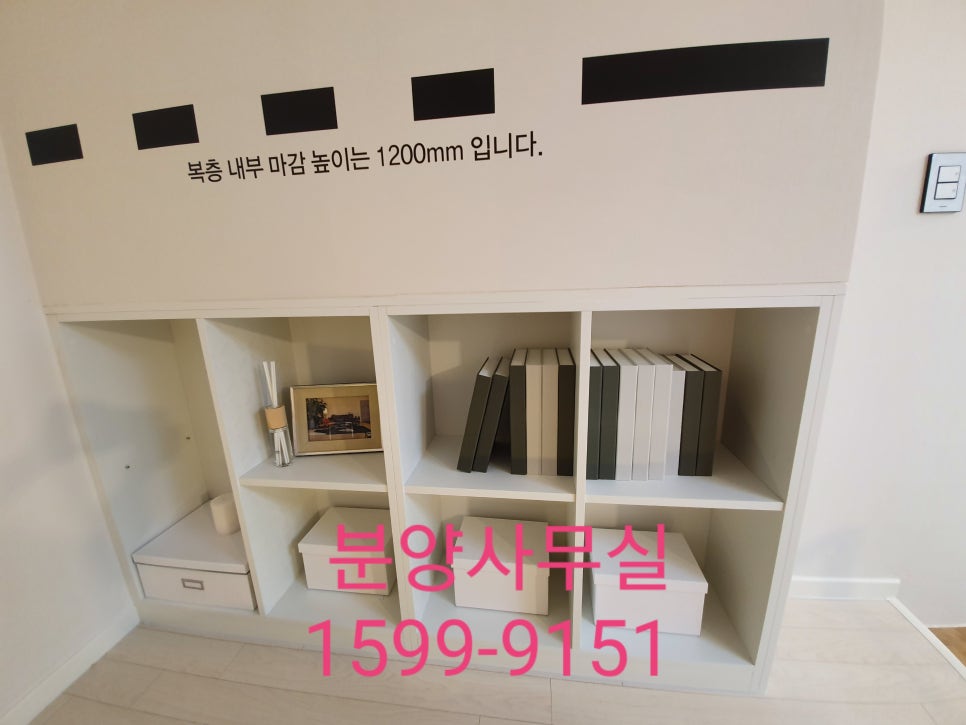 스테이유 이미지